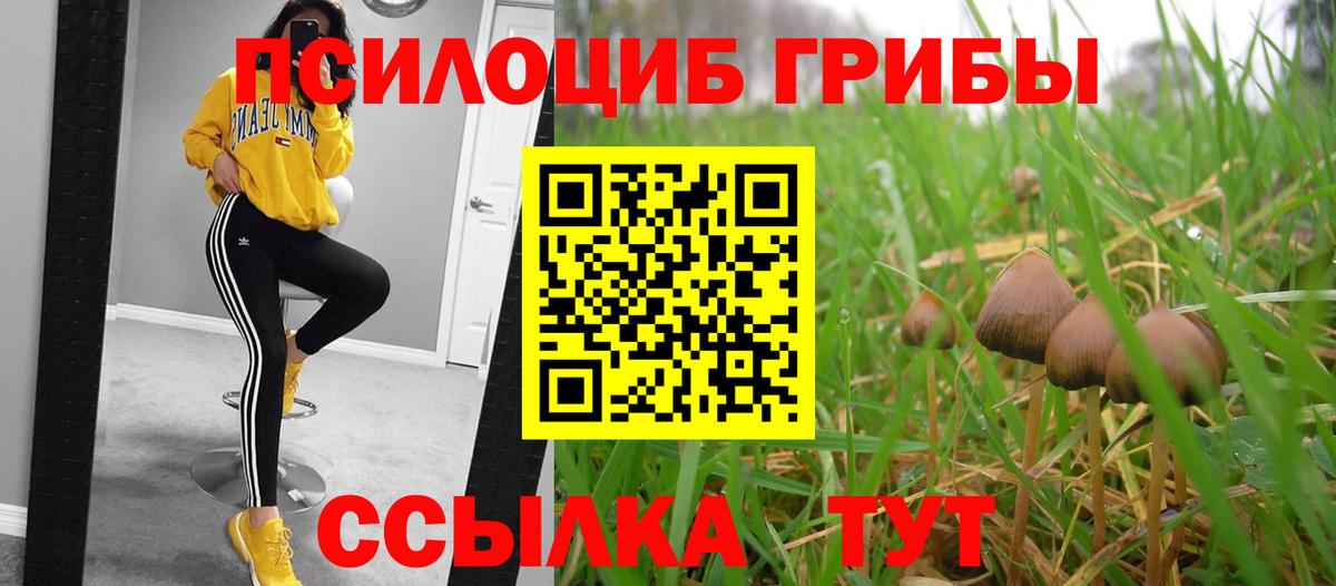 Грязи  Галлюциногенные грибы Cubensis  Вход с VPN 