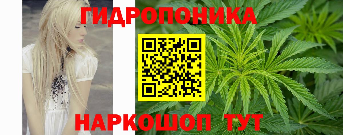 Бошки Шишки LSD WEED  Вход с VPN  МАРИХУАНА LSD WEED  Каннабис LSD WEED  Шишки марихуана сатива  Грязи 